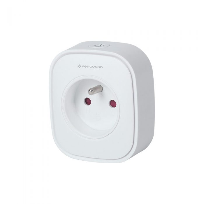 Smart Wi-Fi Plug With Remote Meter Reader FS2PG-WMB