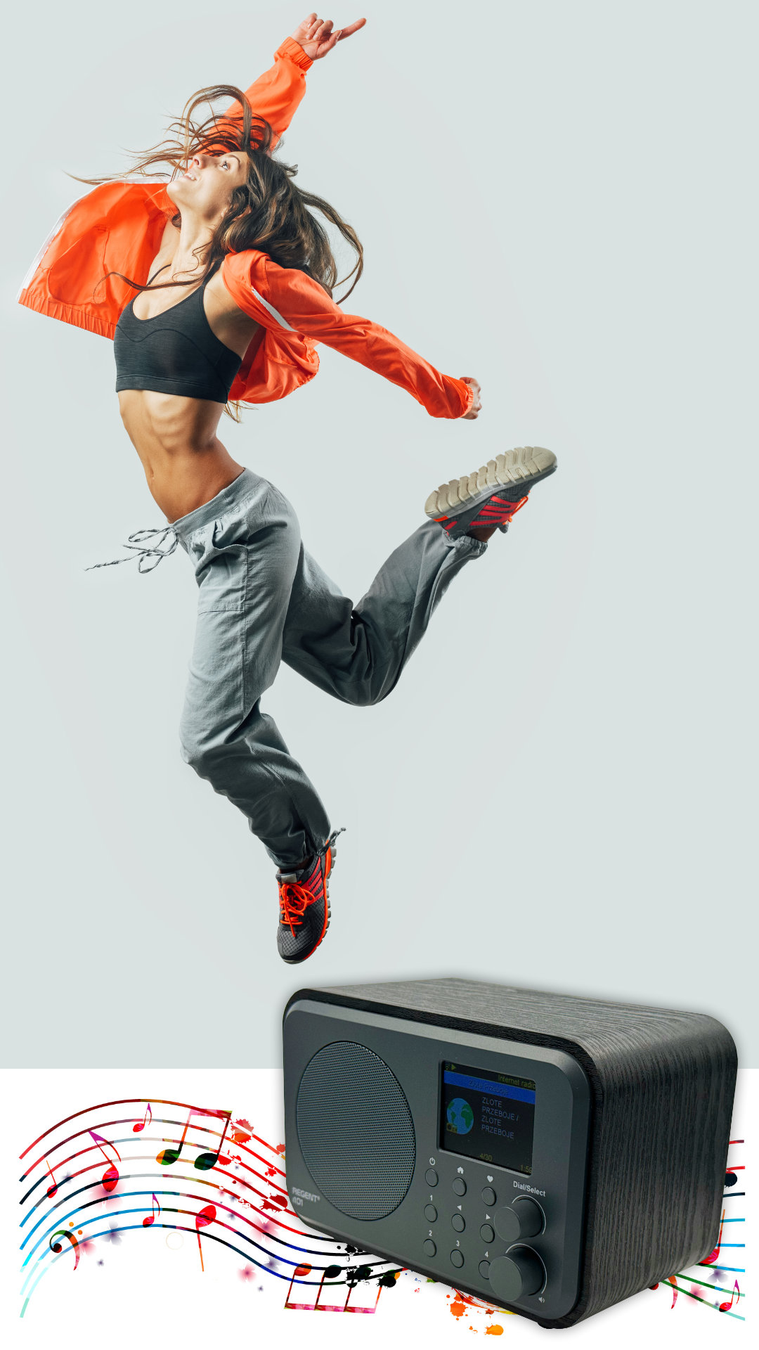 Ferguson Regent i101