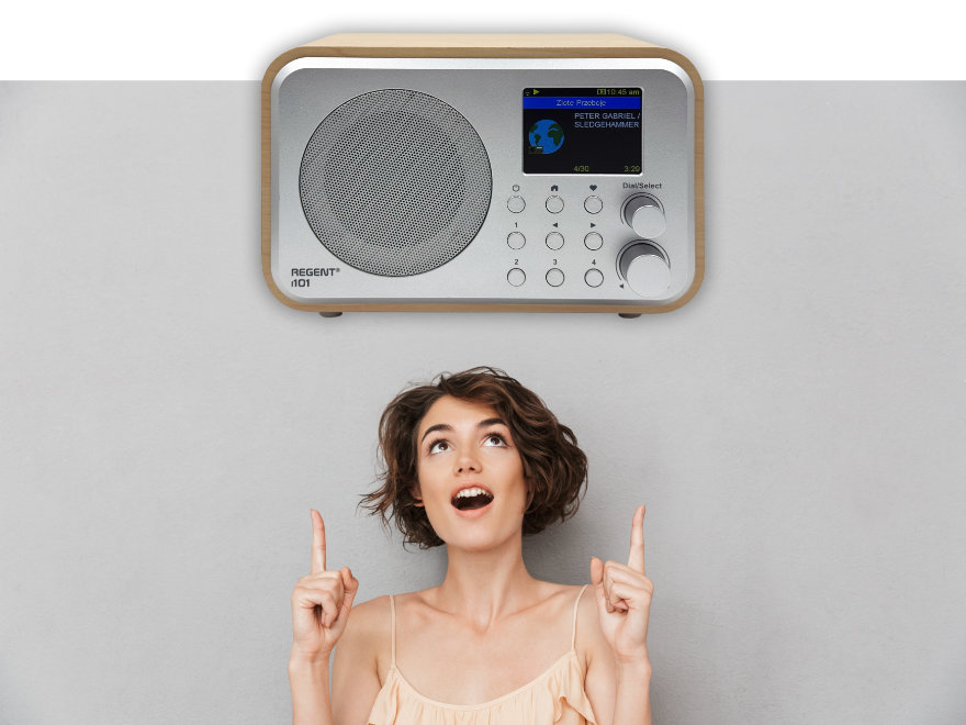 Ferguson Regent i101